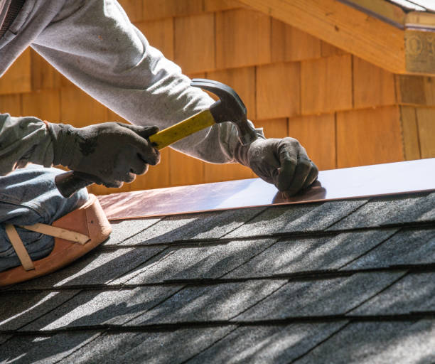 Best Roof Gutter Cleaning  in Amerin Nyon, CA
